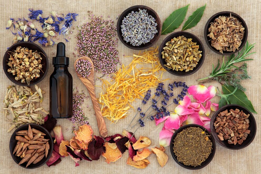 herbs for skin rejuvenation